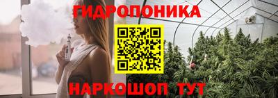 прущие грибы Нальчик