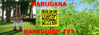 прущие грибы Нальчик