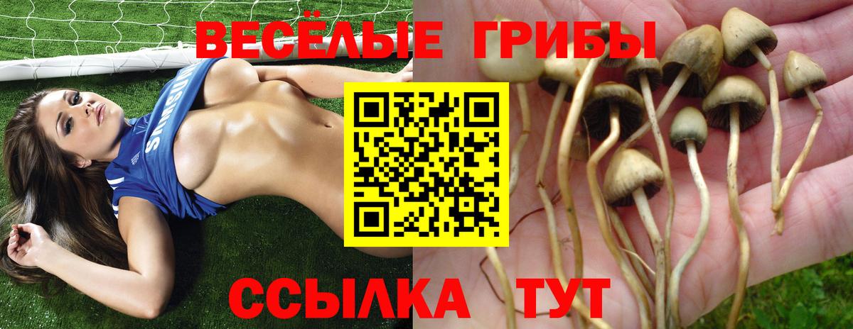 Галлюциногенные грибы мицелий Соликамск